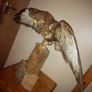 BUZZARD bird of pray Image 2