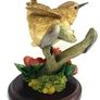 Vintage Wren With Pansies Figurine By Country Artist Andrew MacCallum Image 7