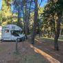Sunlight Motorhome - Bunkbed LHD - B license - New CVRT Image 4