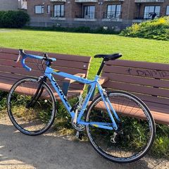 Viking XRR Road Bike