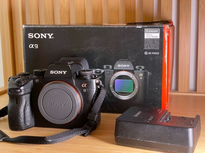 Sony A9