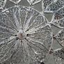 Sterling Silver Filigree 7 Inch Dish(110 grams) Image 4