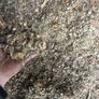 . Maize Bales Image 3