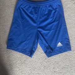 Home Farm Training Shorts