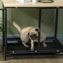 Dog Crate, Dog Box, Water-Resistant Mat, Removable Bottom Tray, Lockable, Black, 80 x 55 x 71 cm Image 6