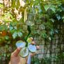 Two flower candle holders Image 3