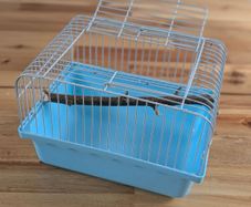 bird carrier