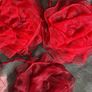 Wrap/Scarf Image 8