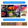 Digital Aquarium Automatic Fish Feeder Fish Tank Timer Feeder 4 Groups Time Settings Electric For Vocation Weekend Holiday Image 4