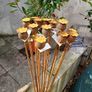 Corten steel Poppy heads. Image 2