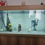 Fish tank n fish Image 2