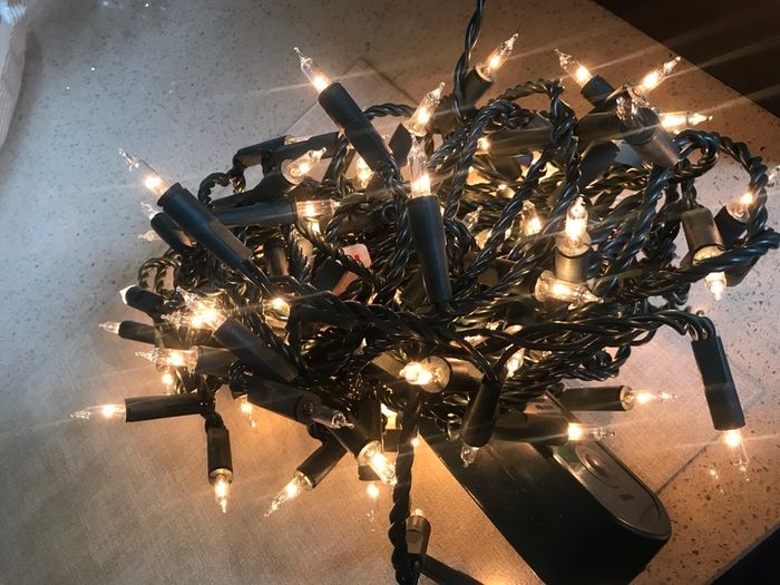 Indoor Multi Function Christmas Lights
