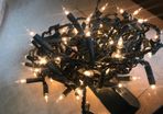 Indoor Multi Function Christmas Lights