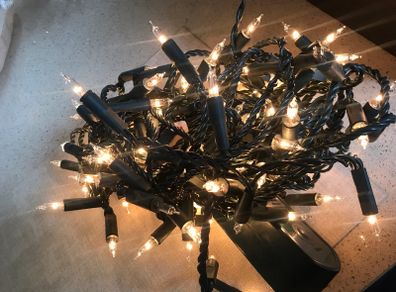 Indoor Multi Function Christmas Lights