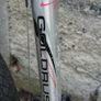 Goldrush caymen bike Image 2