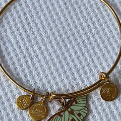 Alex and Ani bangle