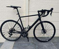 Canyon Endurance AL 6