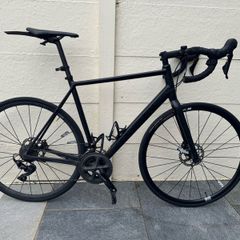 Canyon Endurance AL 6
