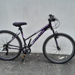 Ladies Bicycle