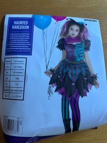 Harley Quinn Costume