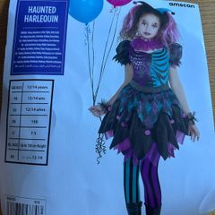 Harley Quinn Costume