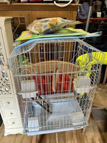 bird cage