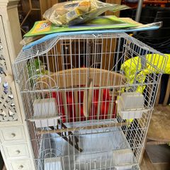 bird cage