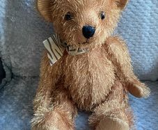 teddy bear