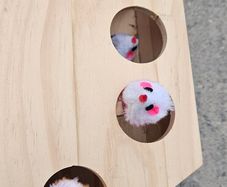 cat toy