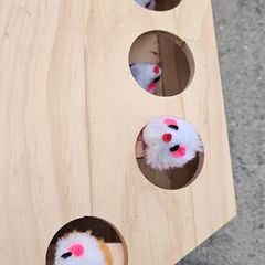 cat toy