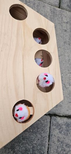 cat toy