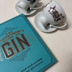 The Bartenders Guide to Gin - Modern Day Cocktails and 2 Free Hendricks Gin Cups and Saucers