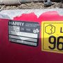 Harry Petrol Lawnmower (no catcher box) Image 3