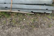 Rubber kerbs