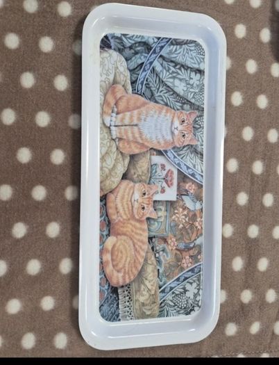 Two trays with cat design