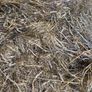 Round bale silage and haylage,Square bales haylage Image 3
