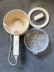 Electric steamer