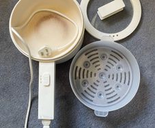 Electric steamer