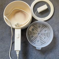 Electric steamer