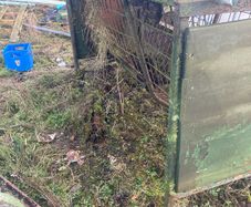 Sheep feeders