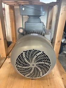 Large industrial motor