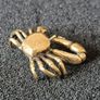 3 brass crabs,. Solid brass. Image 8