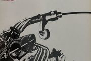 Tipper vinyl 12"