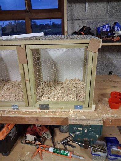 Poultry show pens