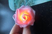 Pink rose  string lights