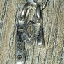 Sterling silver necklace with earrings Image 3