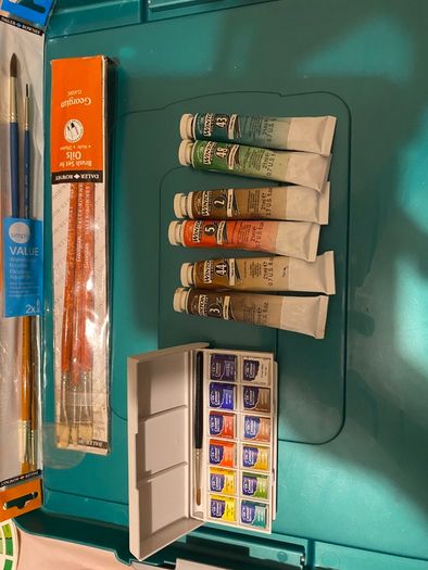 Daler-Rowney oil and watercolour paint set with brushes