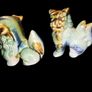 pair of Chinese Foo dogs triple glaze Image 2