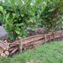 50/100 Thick Willow Cuttings For Hedges, Baskets, Logs Image 5