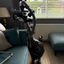 Exercise Bike Image 5